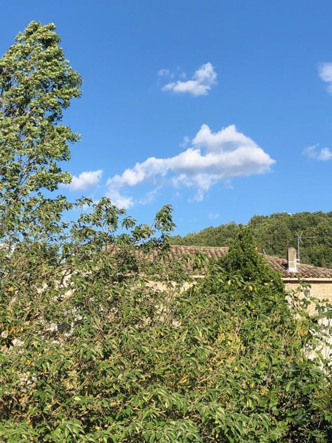 Chez Marius Villa Lagorce  Eksteriør bilde
